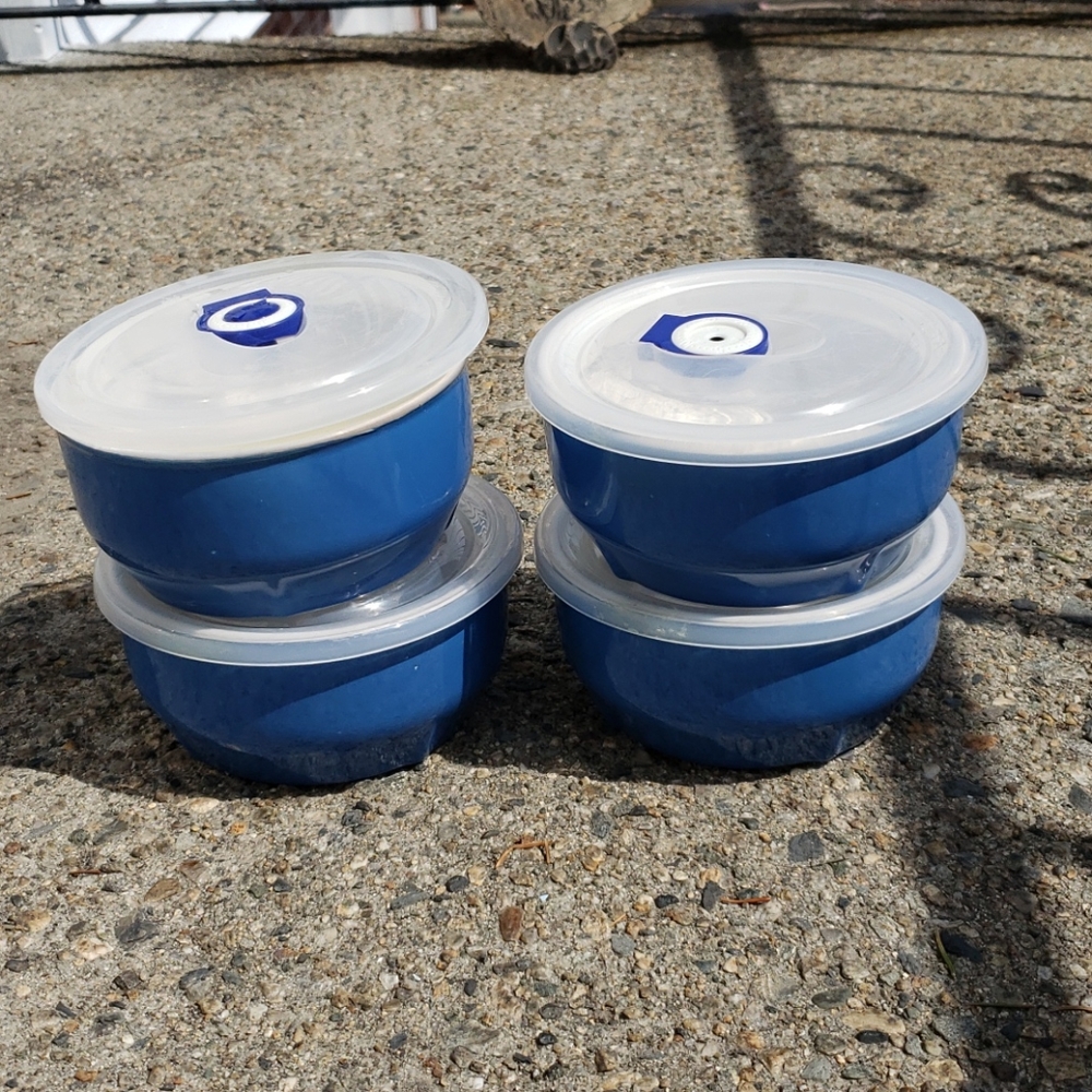 Microwaveable lunch dishes food storage